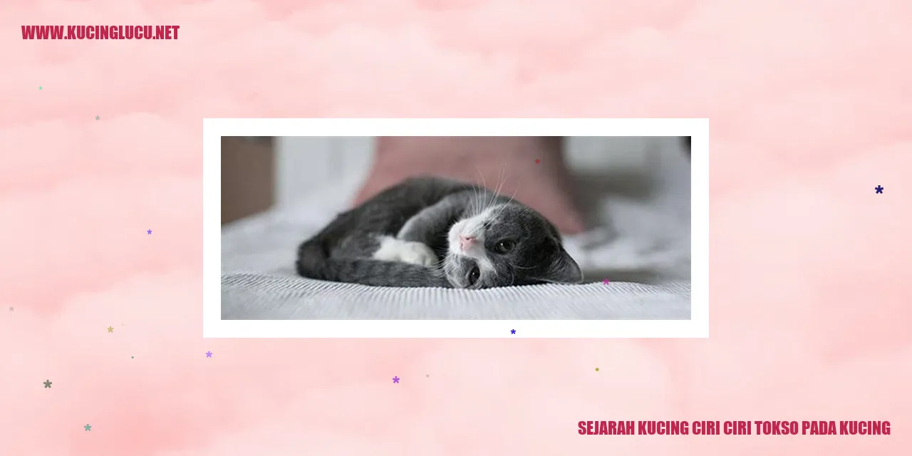 Sejarah Kucing ciri ciri tokso pada kucing