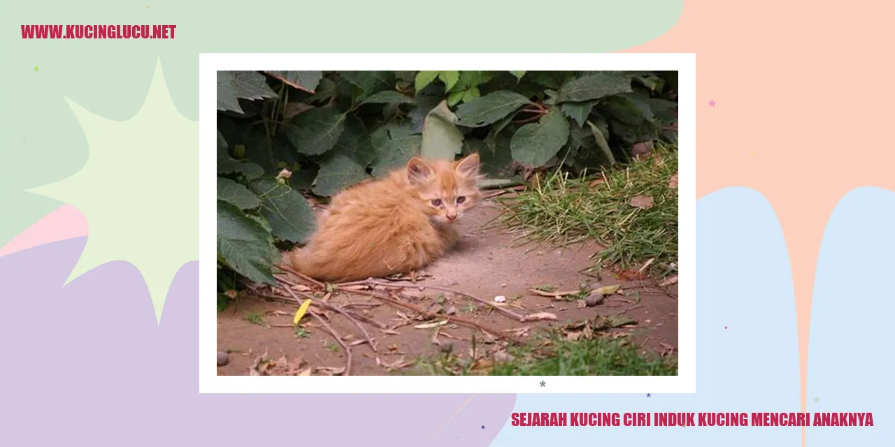 Sejarah Kucing