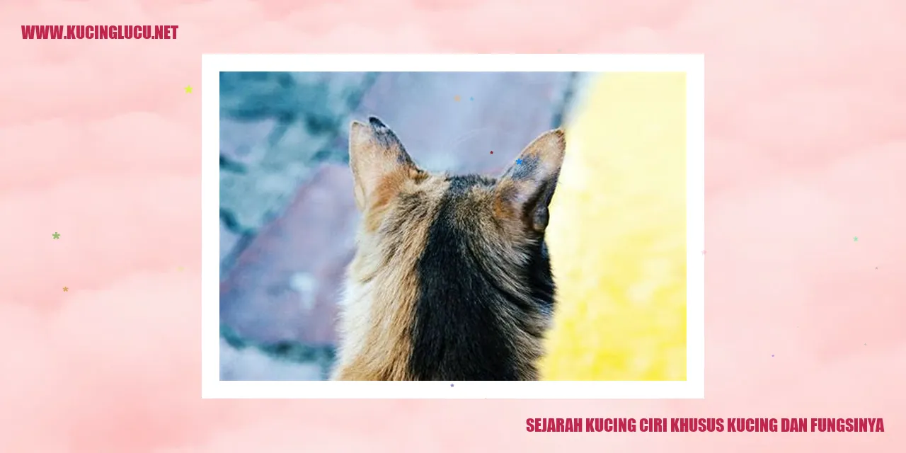 Gambar Kucing