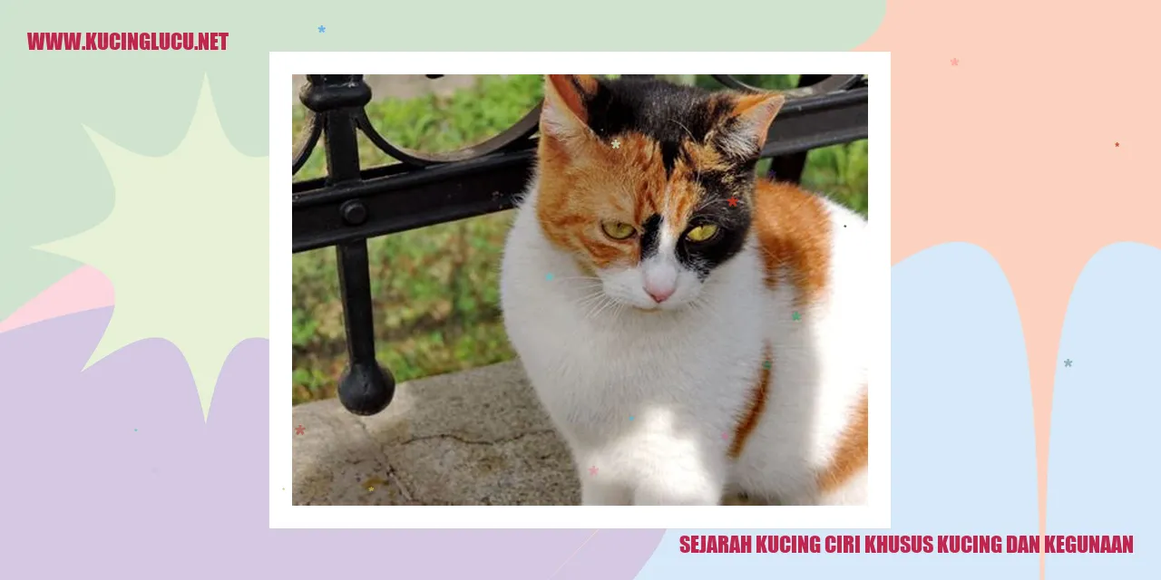Potret Menawan Kucing