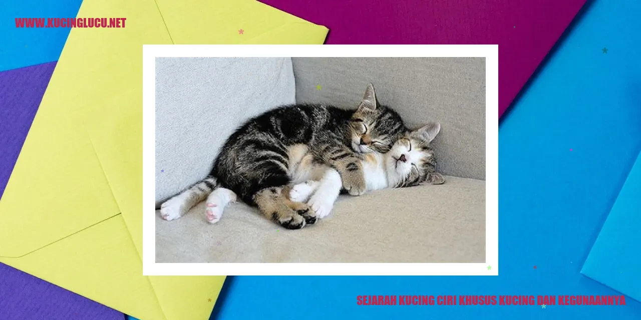 Ilustrasi Kucing