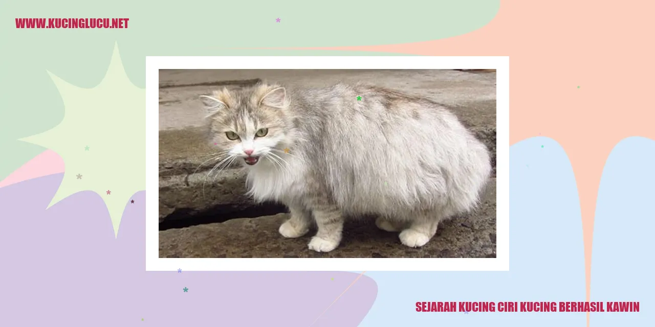 Sejarah Kucing