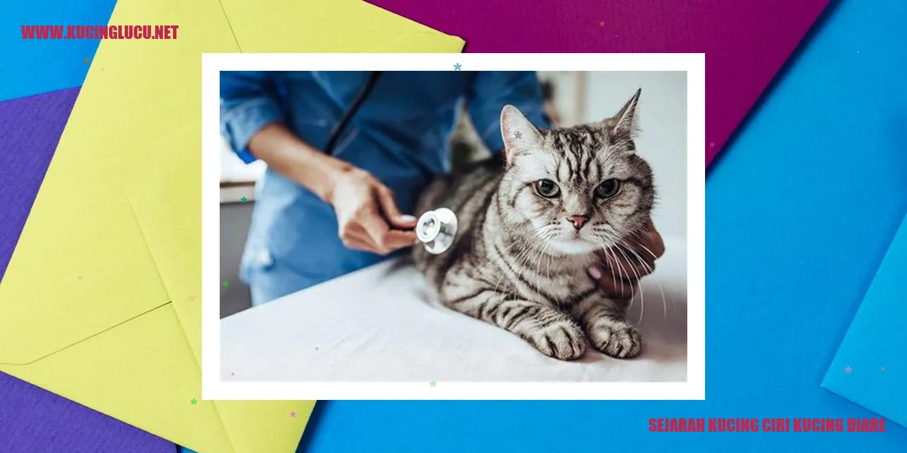 Sejarah Kucing ciri kucing diare