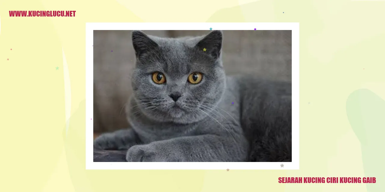 Sejarah Kucing: Tanda-tanda Kucing Gaib