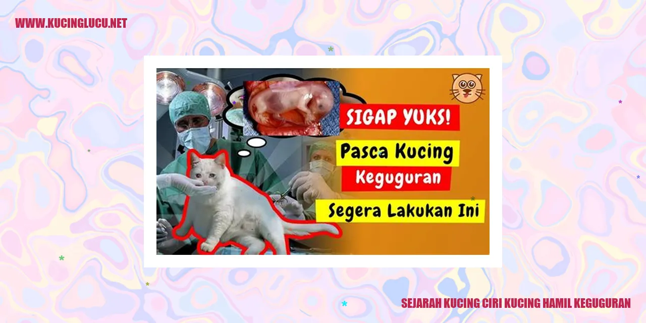 Gambar Kucing