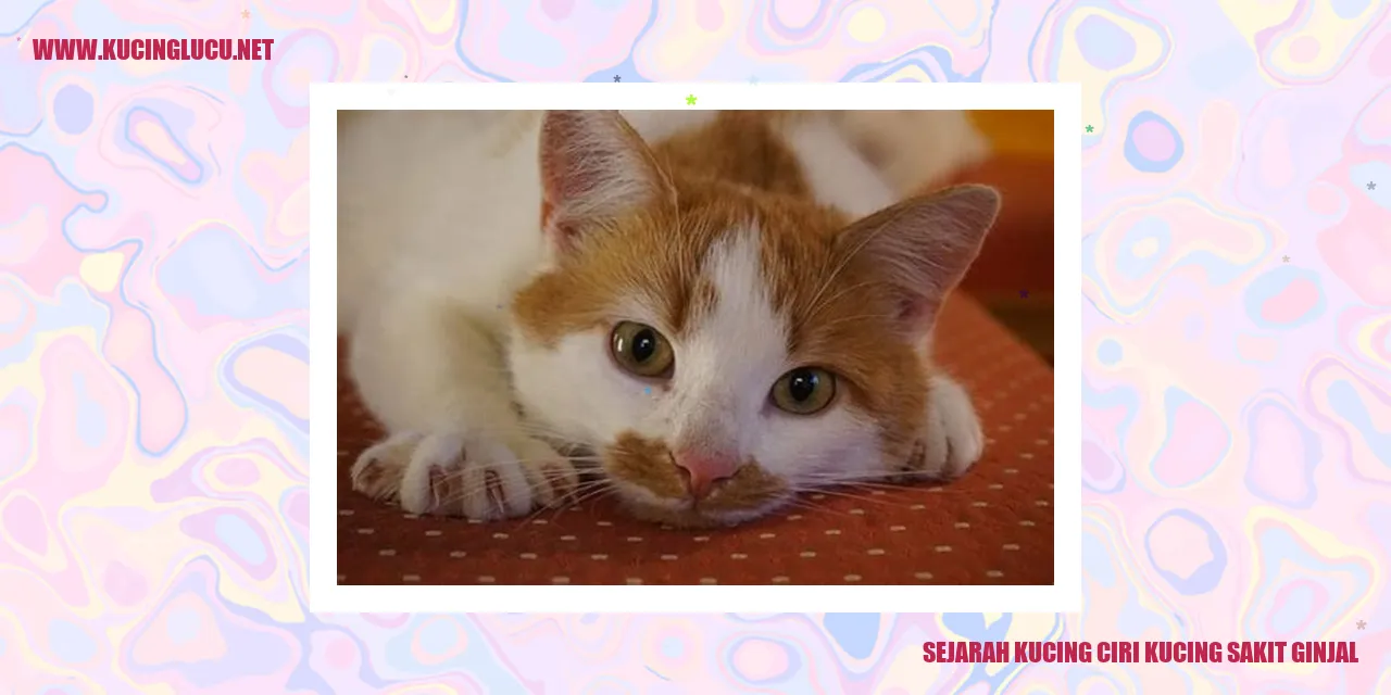 Sejarah Kucing ciri kucing sakit ginjal