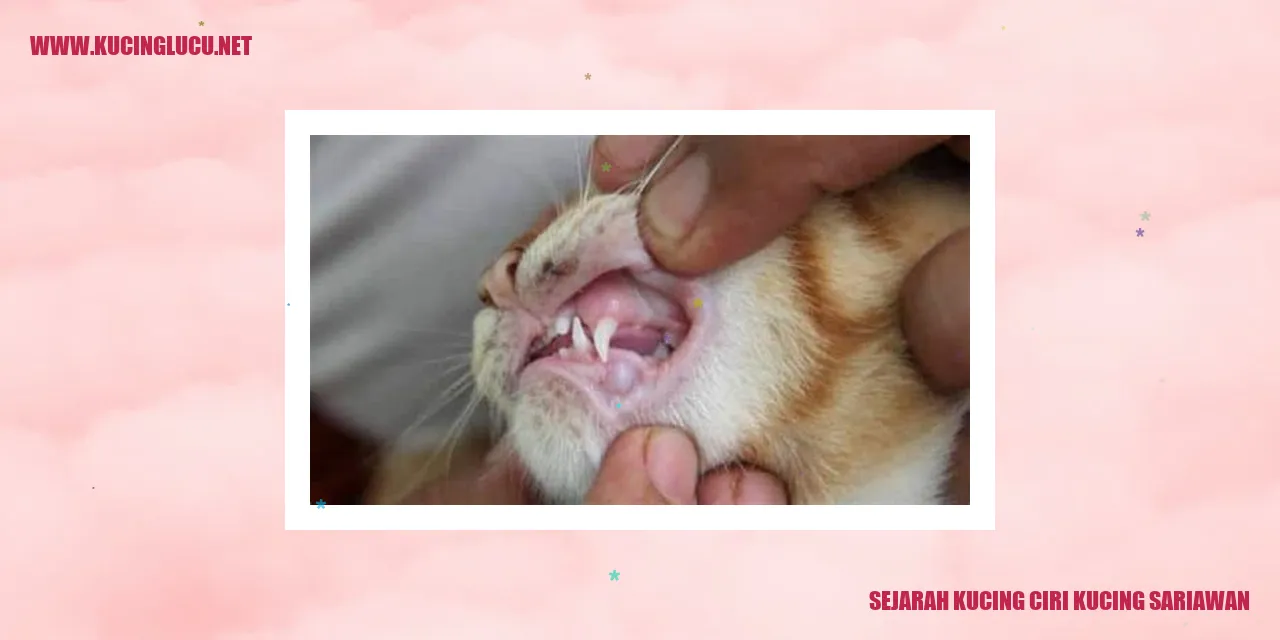 Sejarah Kucing dan Ciri Kucing Sariawan
