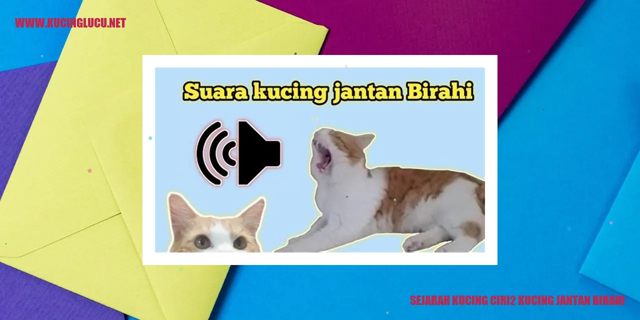 Sejarah Kucing ciri2 kucing jantan birahi