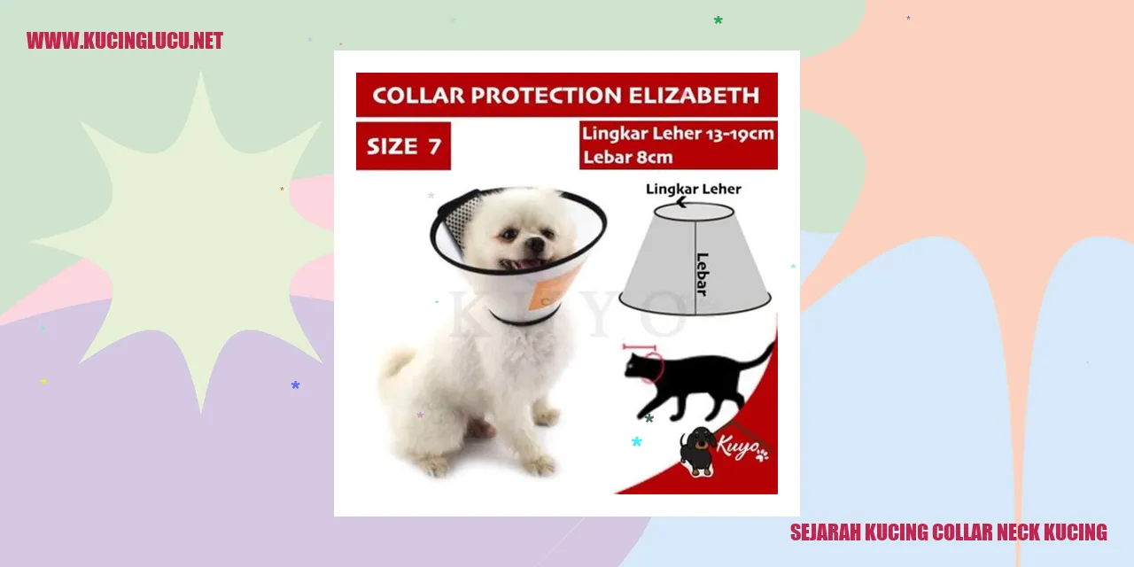 Collar Neck Kucing