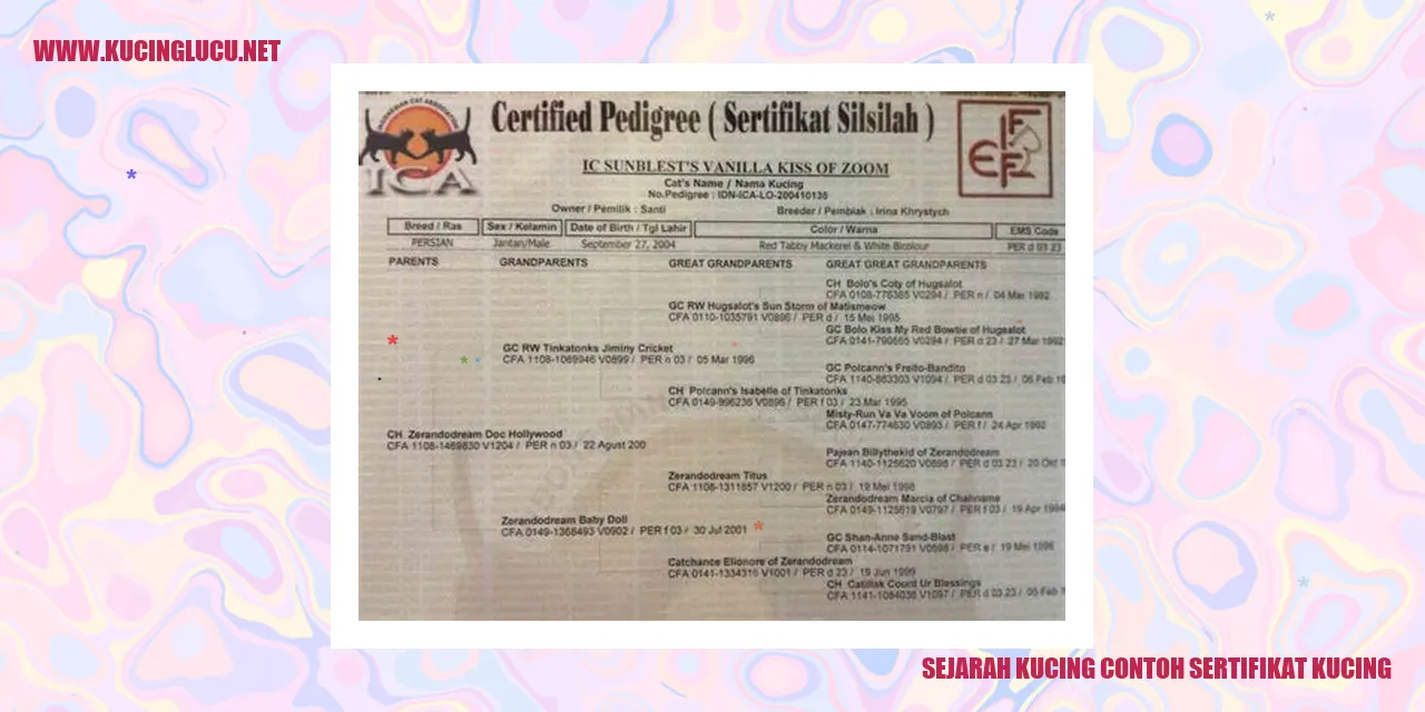 Contoh Sertifikat Kucing