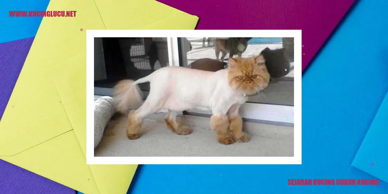 Gambar Sejarah Cukur Kucing
