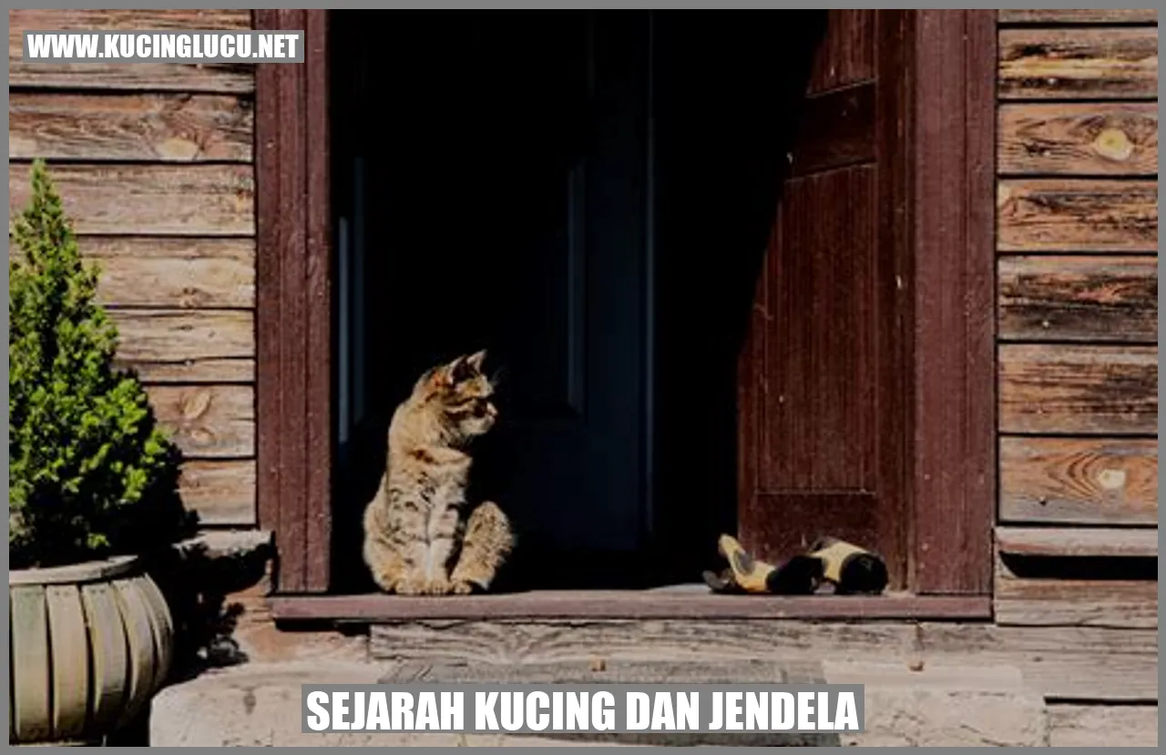 Sejarah Kucing dan Jendela