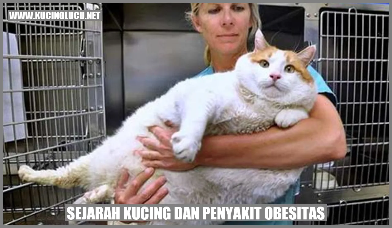 Kucing Obesitas