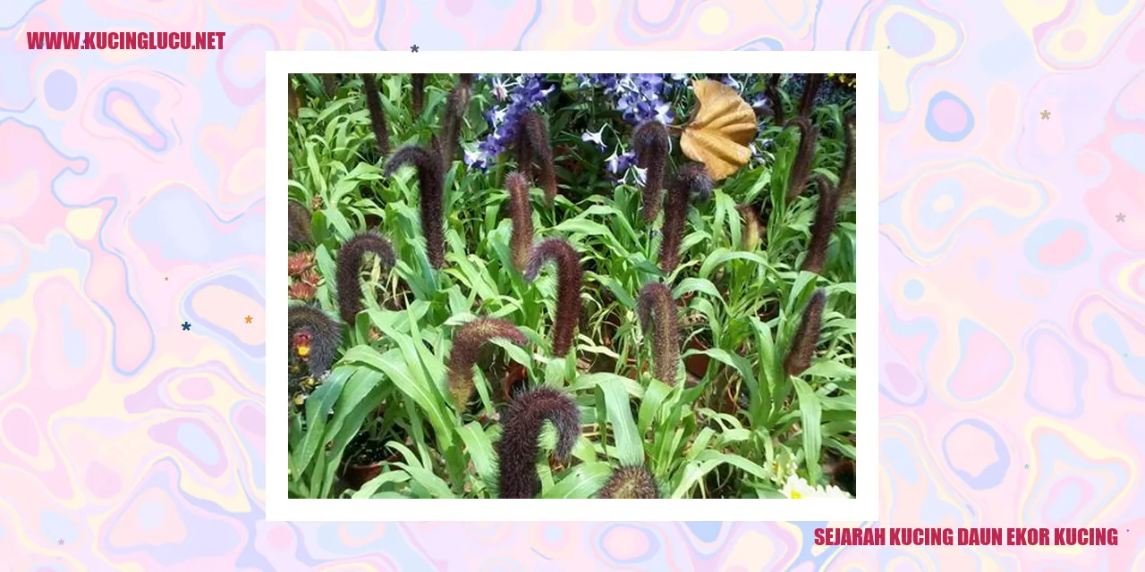Gambar Kucing Berkepala Daun