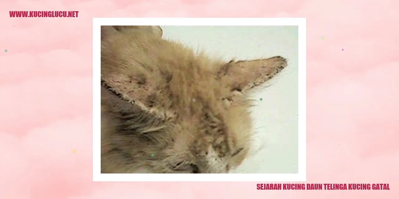 Simbolisasi Kucing Daun Telinga Gatal