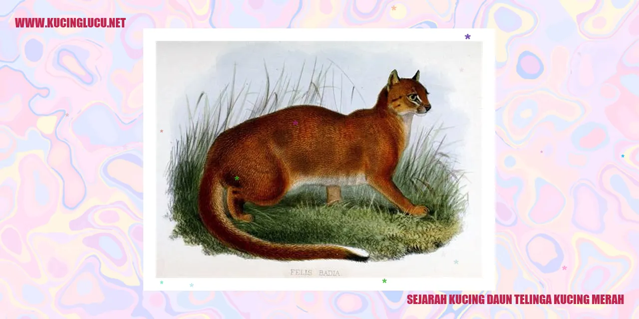 Kucing Merah