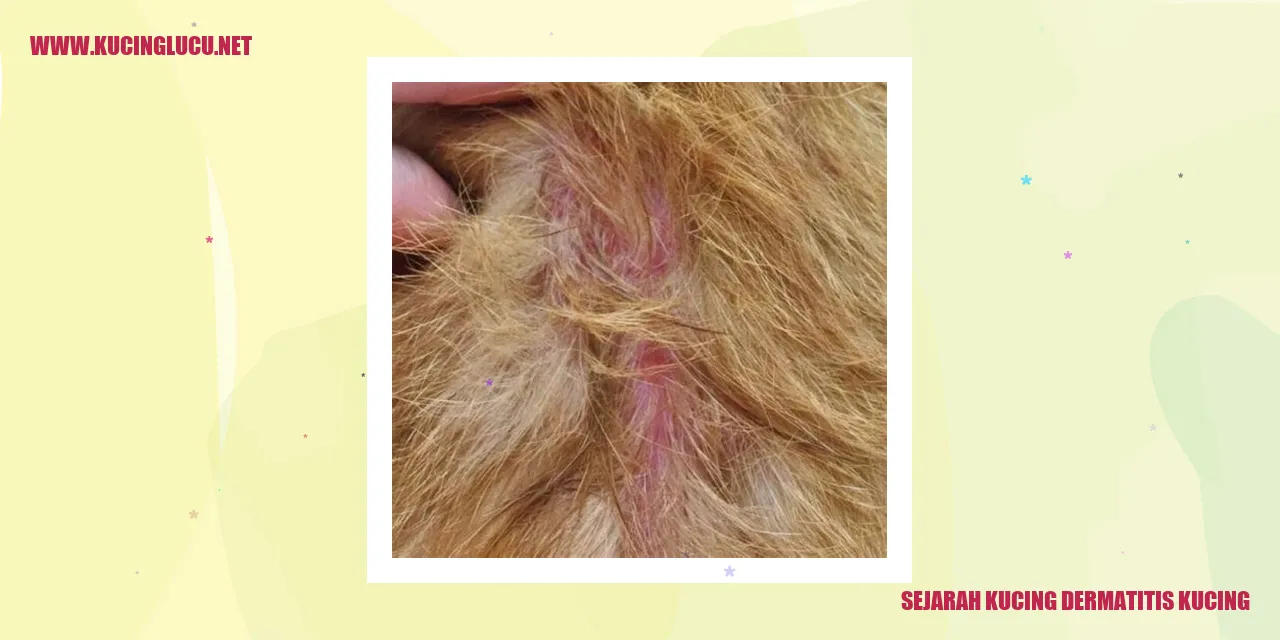 Sejarah Kucing Dermatitis Kucing