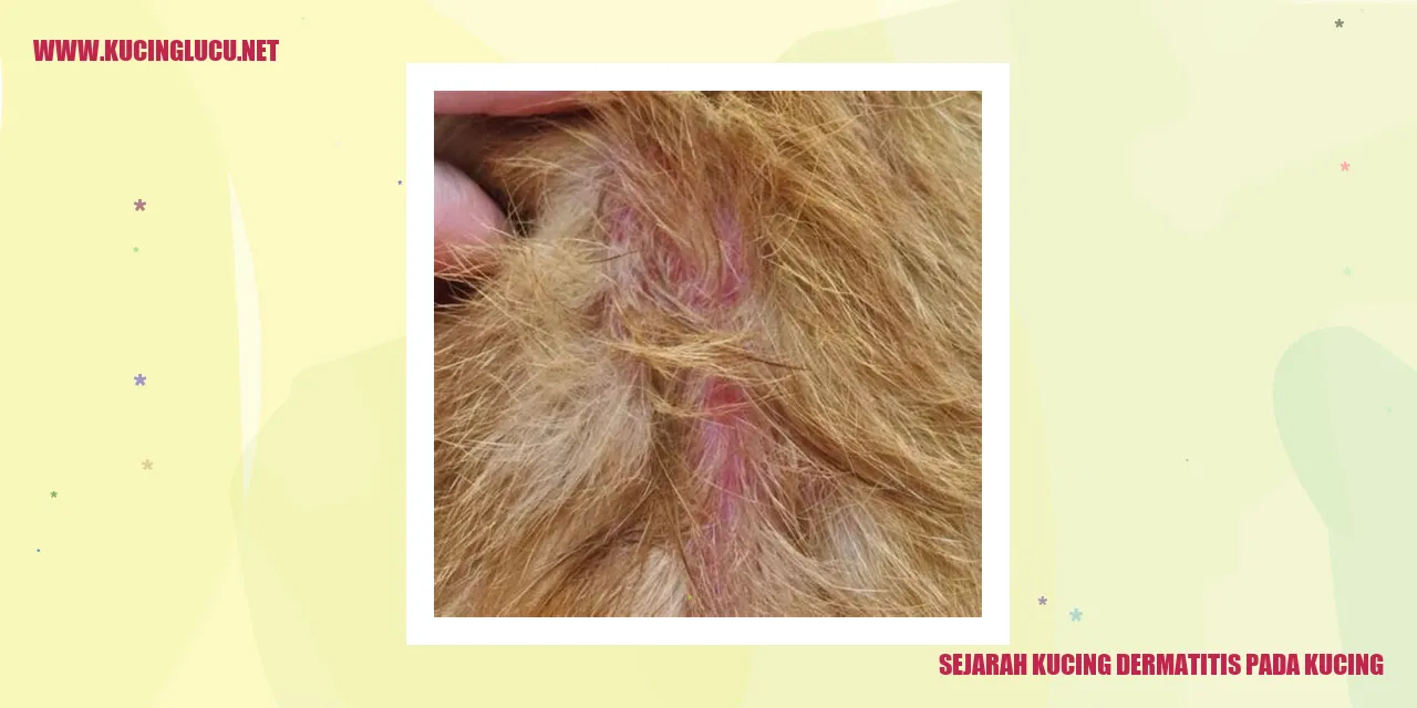 Sejarah Dermatitis pada Kucing