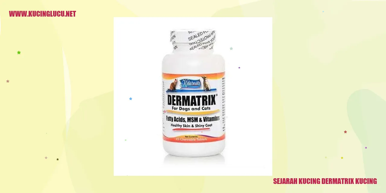 Gambar Kucing Dermatrix Kucing