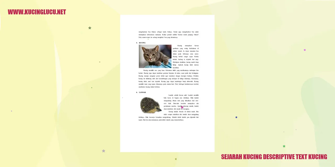Gambar Kucing