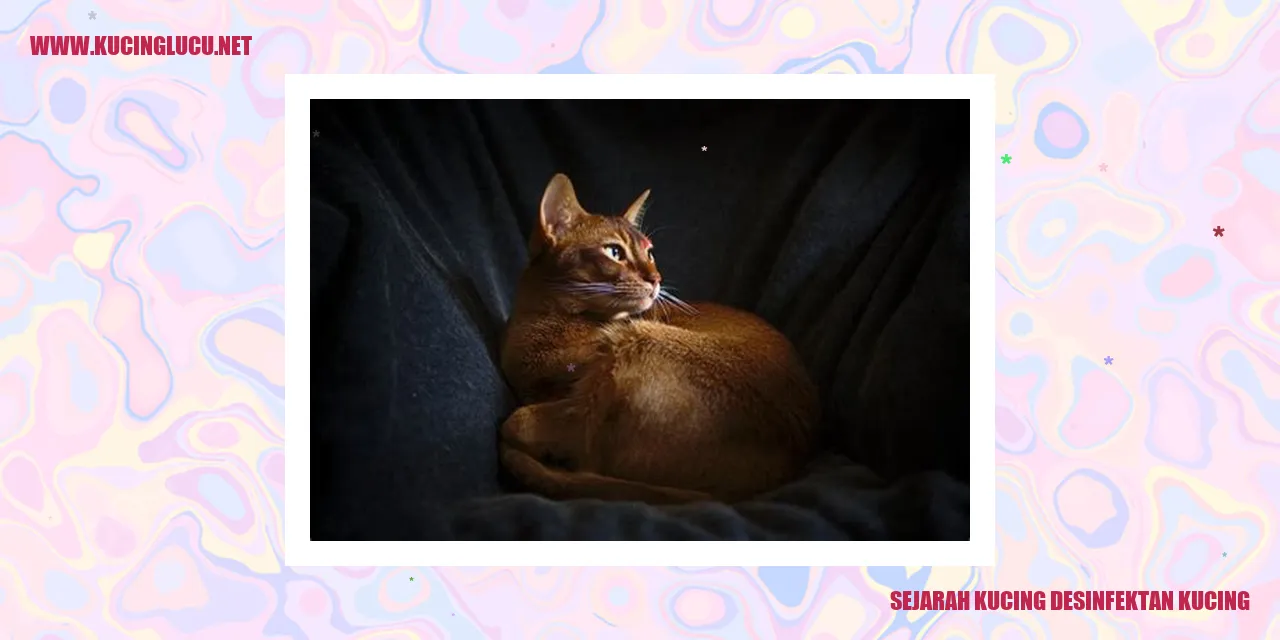 Kucing Desinfektan Kucing