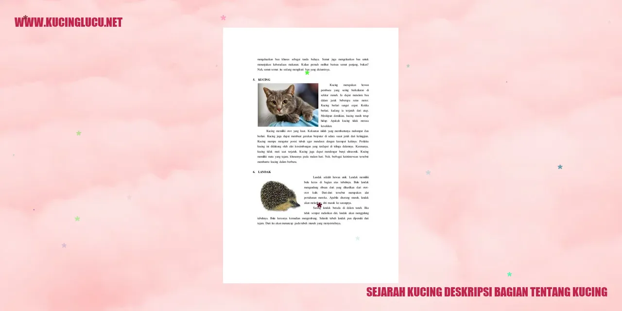 Gambar kucing yang menggemaskan