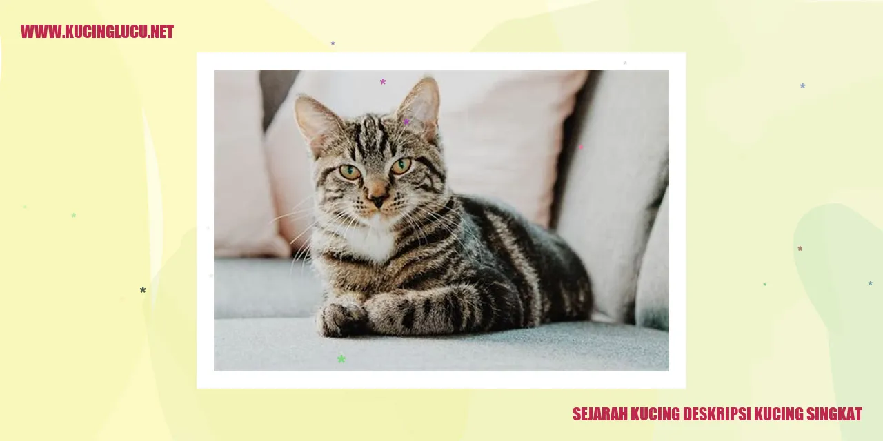 Gambar Kucing