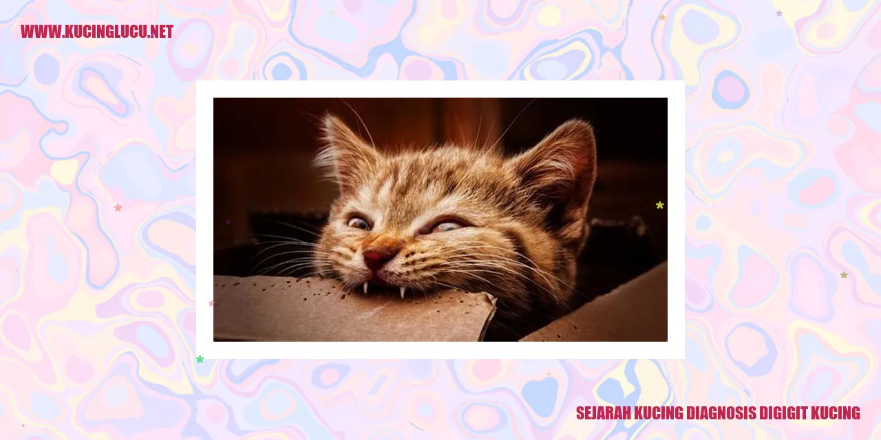 Sejarah Kucing Diagnosis Digigit Kucing