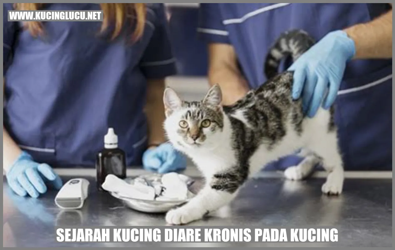 Sejarah Kucing Diare Kronis pada Kucing
