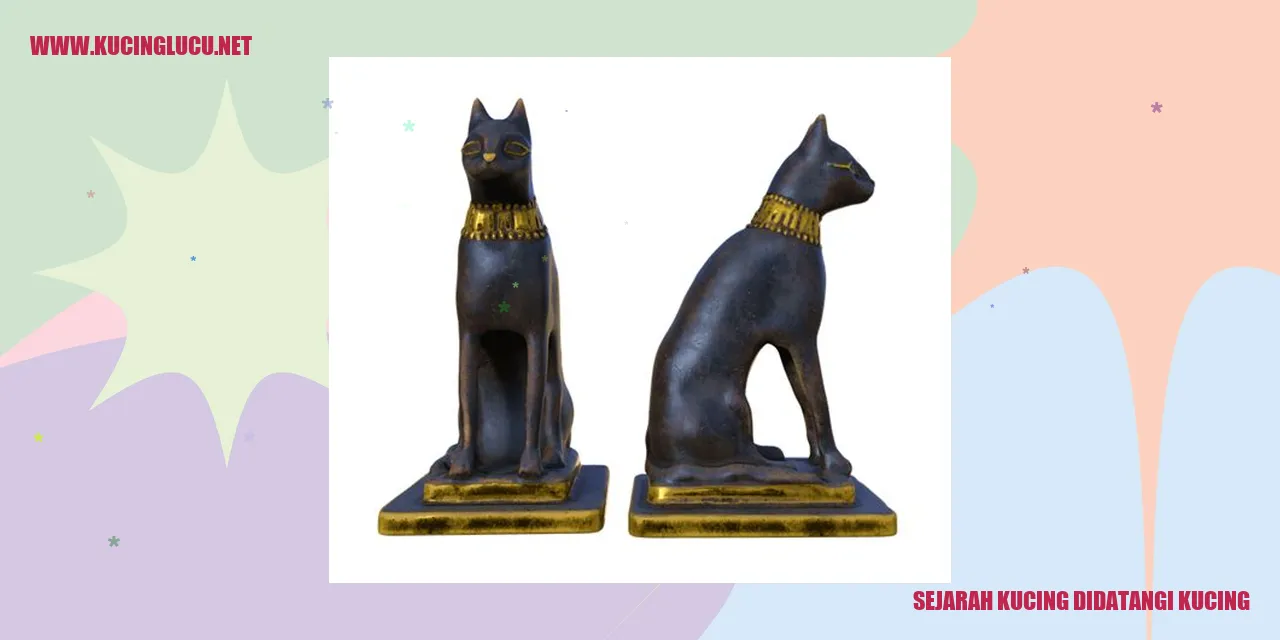 Gambar Sejarah Kucing didatangi kucing