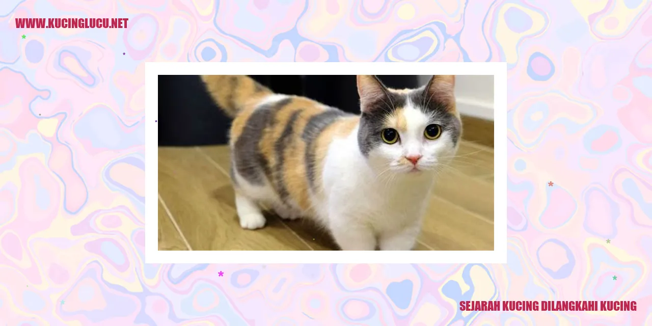 Kucing dilangkahi kucing