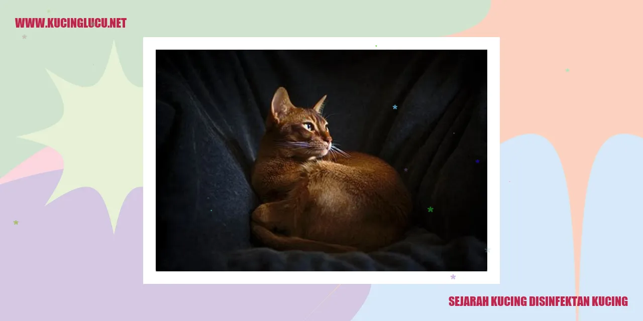 Gambar Kucing Disinfektan Kucing