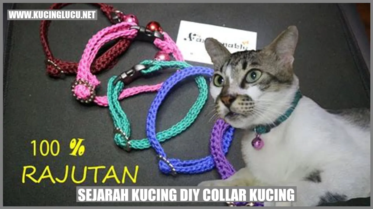 Gambar Kucing DIY Collar Kucing