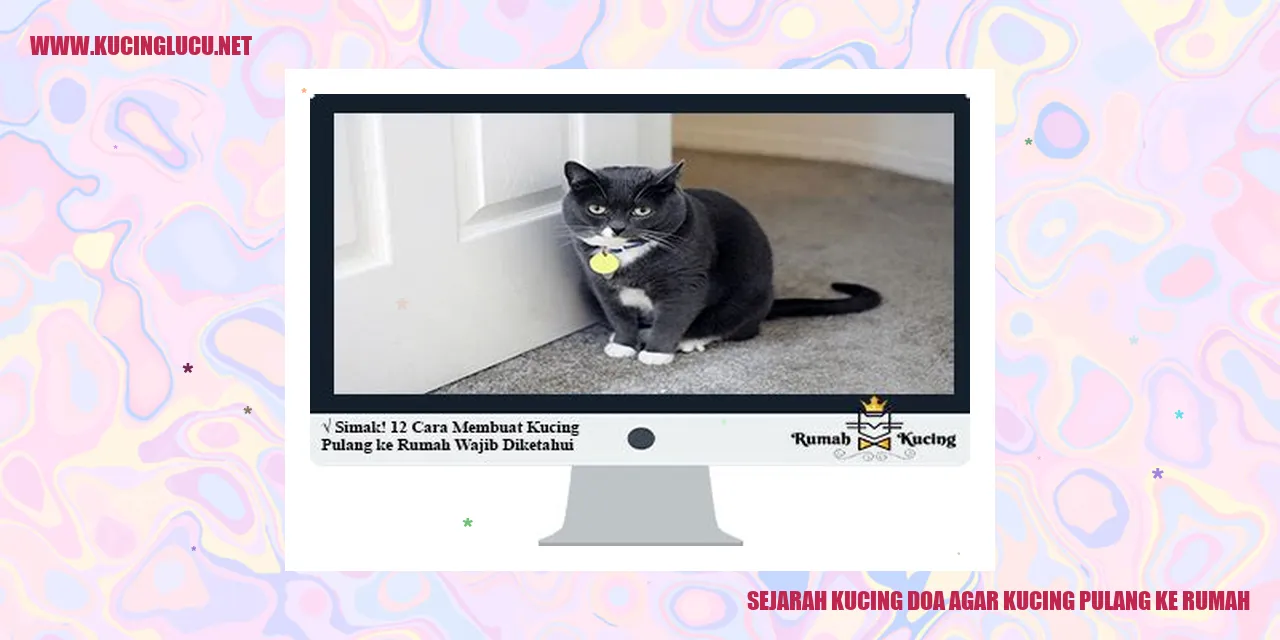 Kisah Kucing Berdoa Agar Kucing Kembali ke Rumah