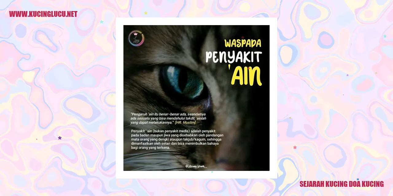 Kucing Sphynx