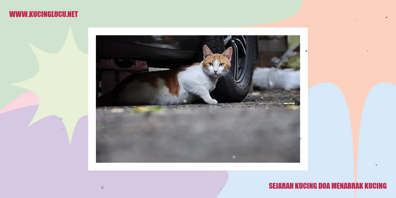 Kucing Menyingkirkan Perselisihan Antar Kucing