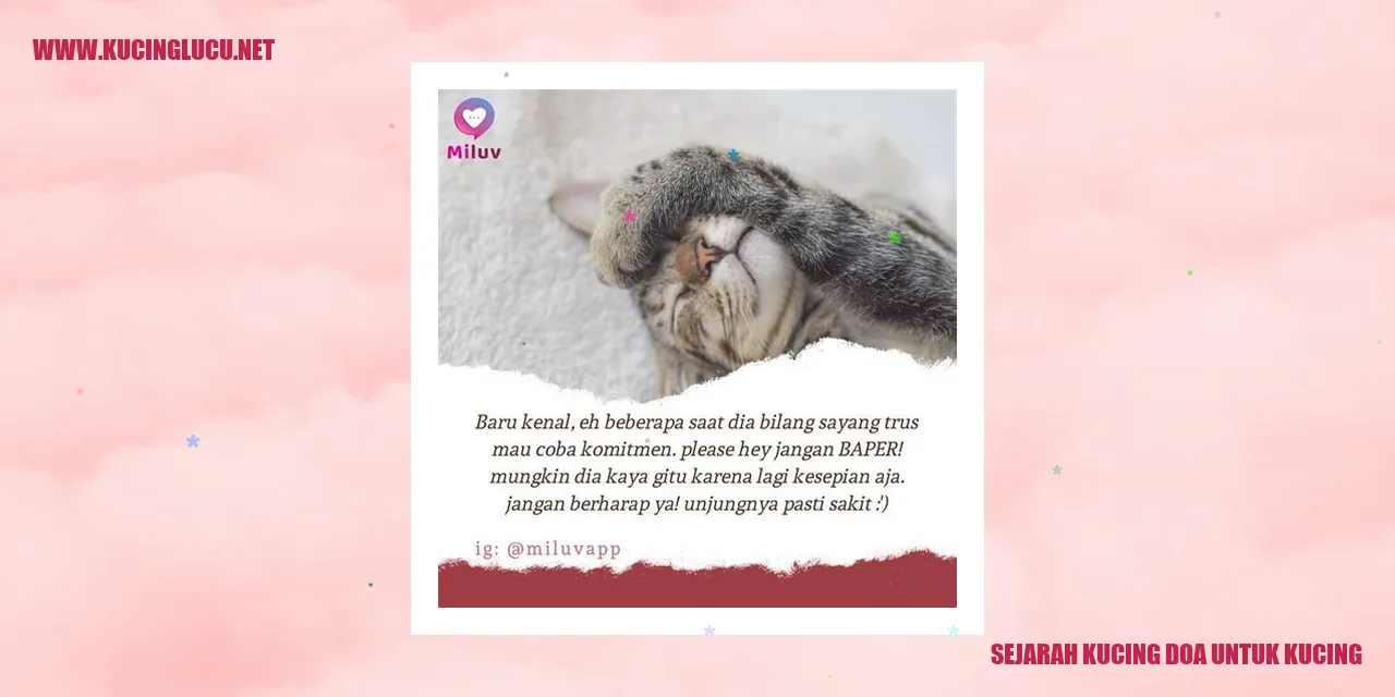 Gambar Sejarah Kucing Doa untuk Kucing