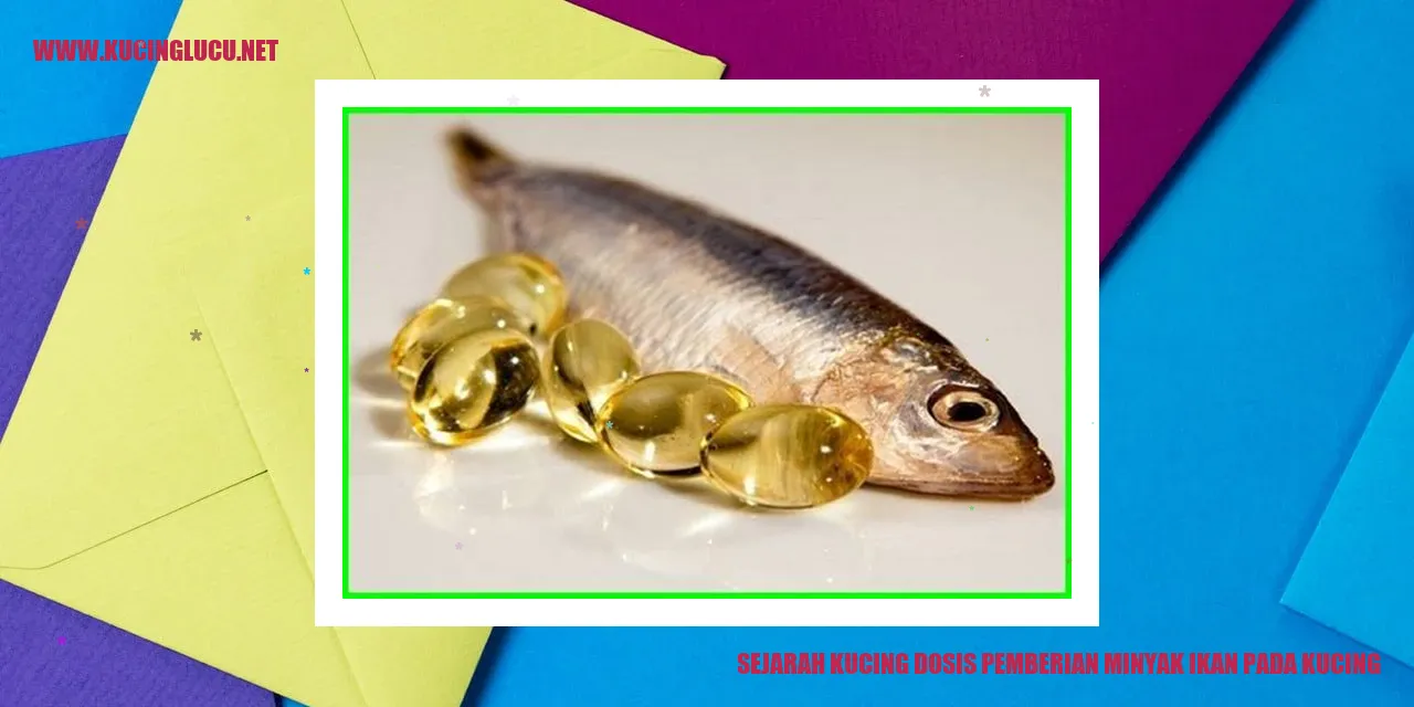 Minyak Ikan pada Kucing