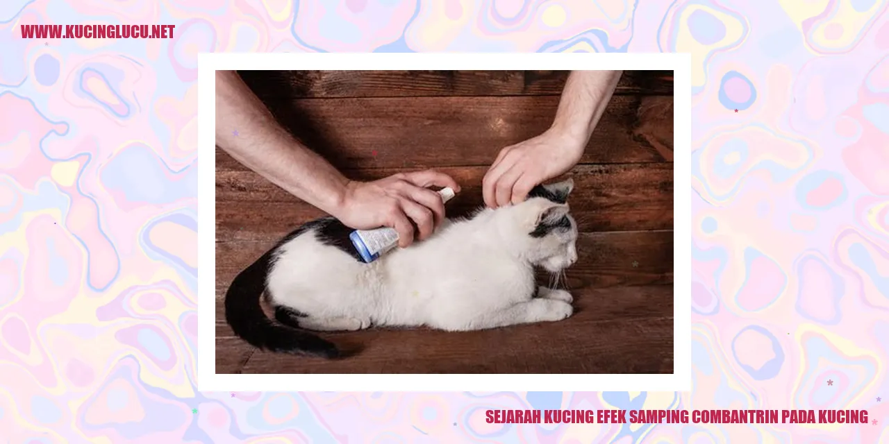 Gambar Kucing yang Menggemaskan
