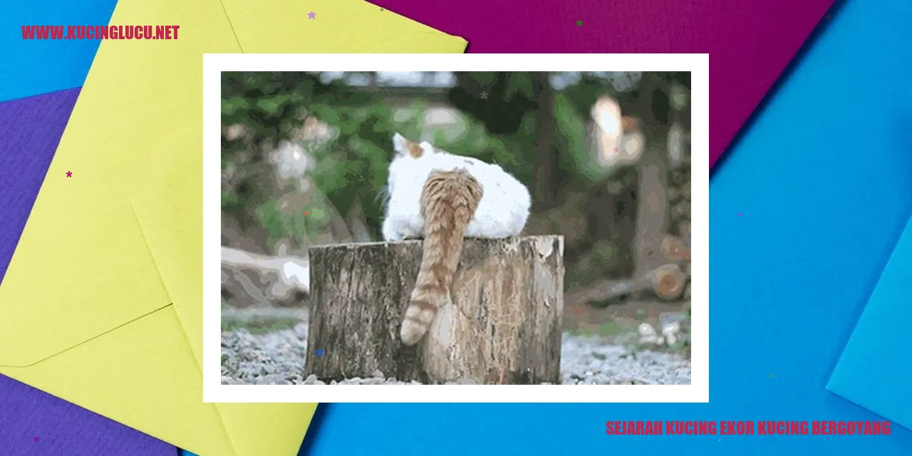 Gambar Kucing Ekor Kucing Bergoyang
