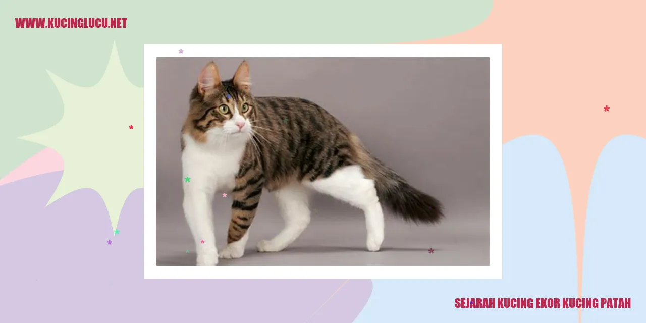 Sejarah Kucing Ekor Kucing Patah