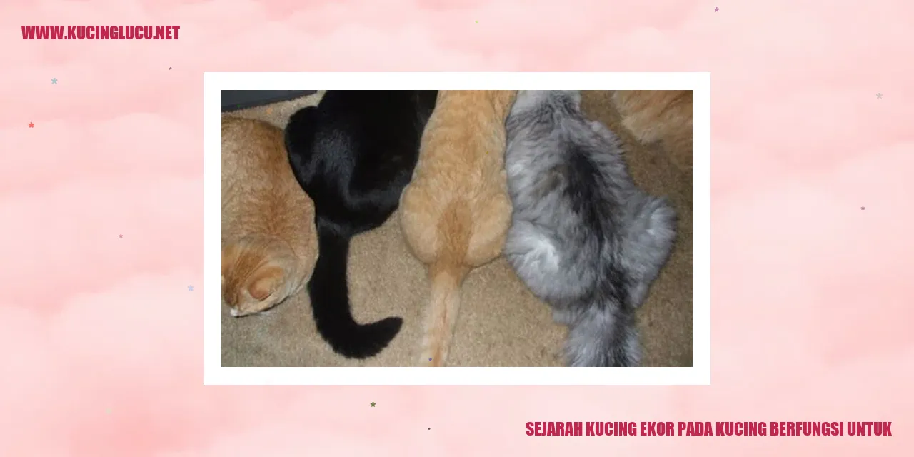 Ilustrasi Sejarah Kucing Ekor