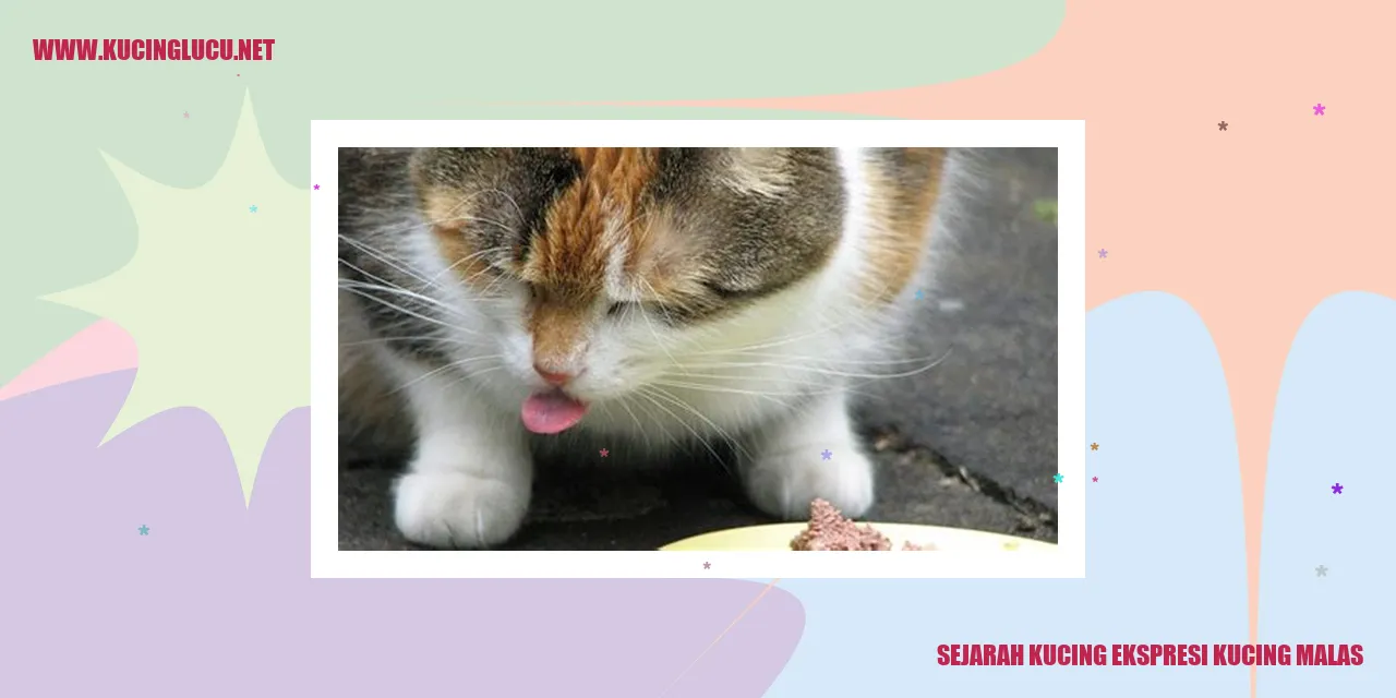 Kucing Malas