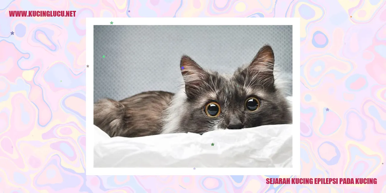 Kucing epilepsi