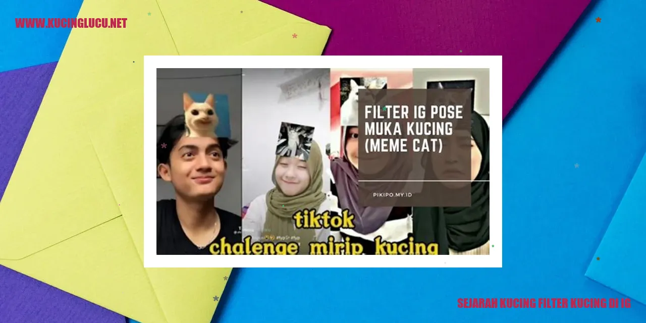 Temukan Filter Kucing Menarik di Instagram Kucing Lucu Net