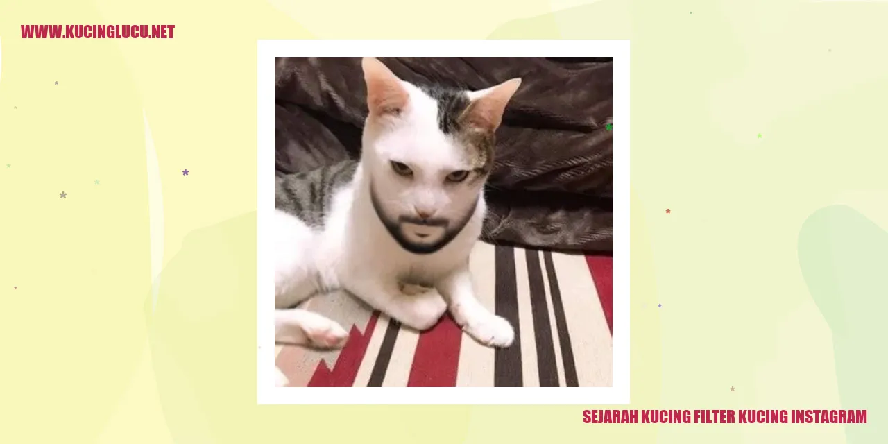 Sejarah Kucing Filter Kucing Instagram