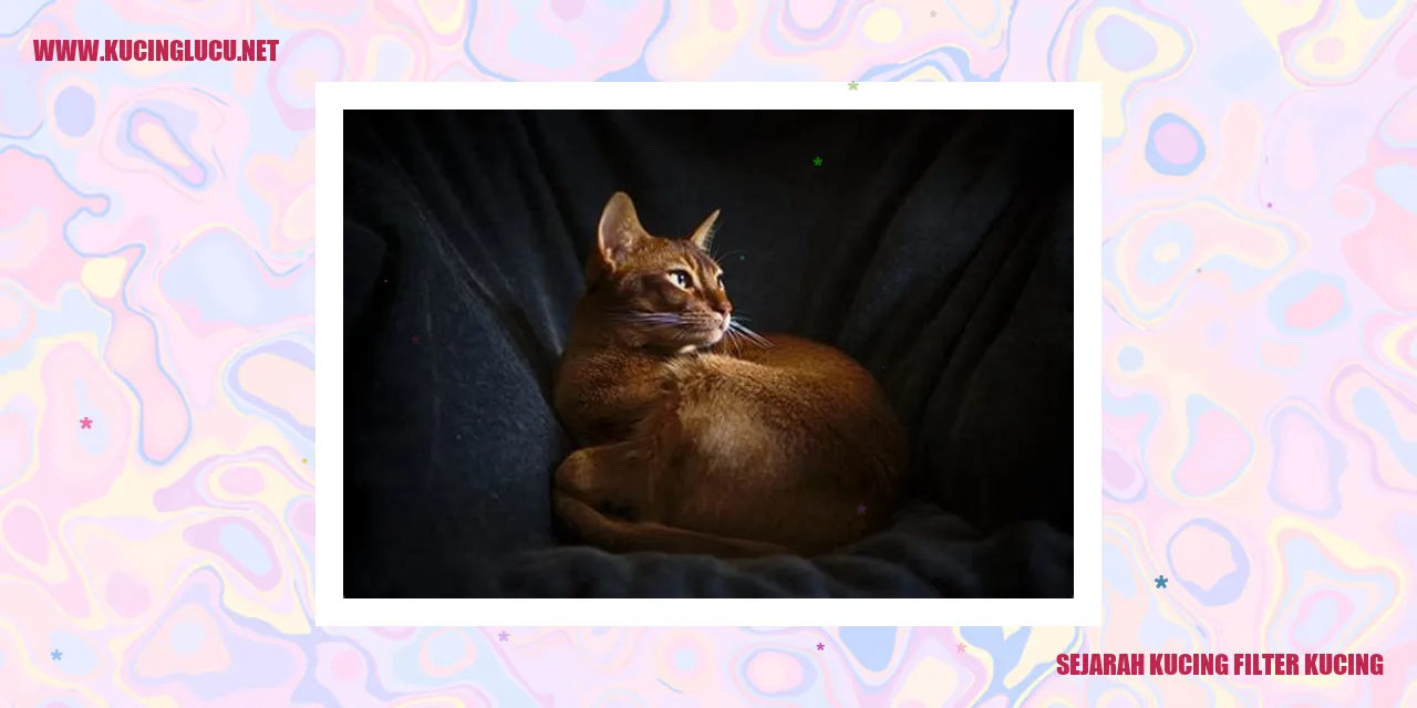 Kucing Filter Kucing