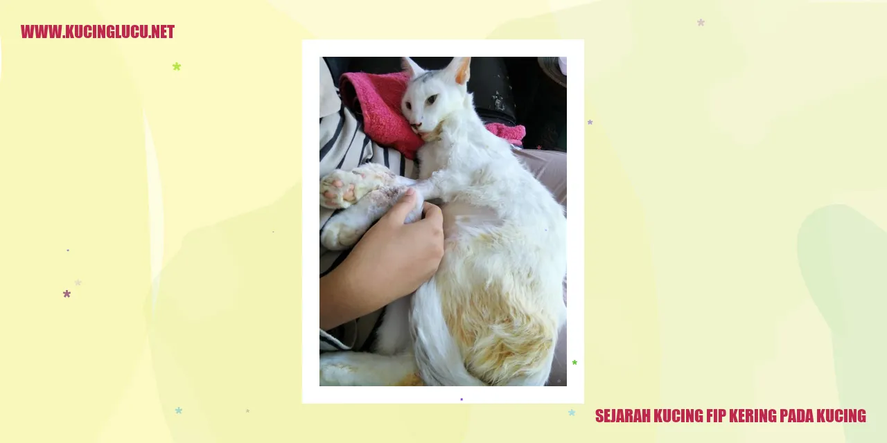 Sejarah FIP Kering pada Kucing