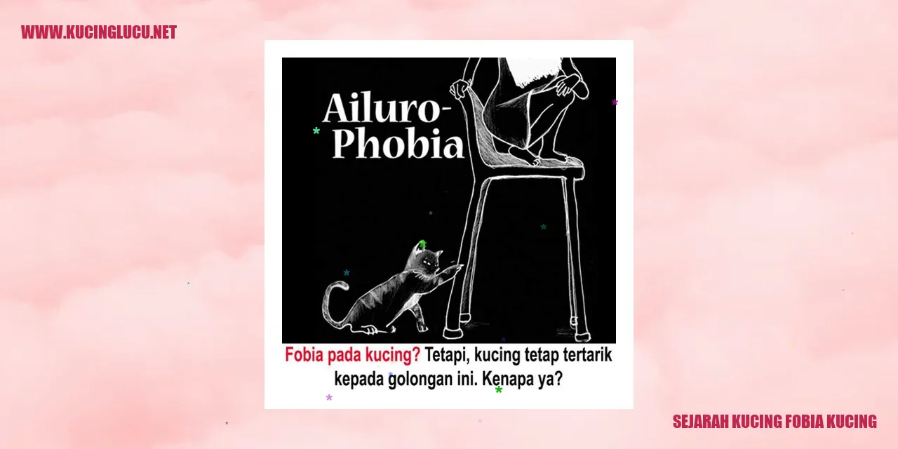 Kucing fobia kucing
