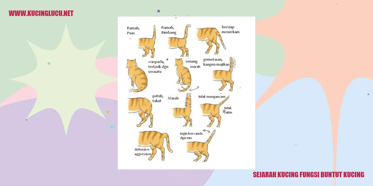 Sejarah Kucing dan Fungsi Ekor